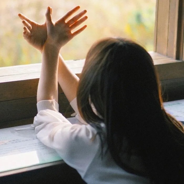 迈阿密暗杀档案